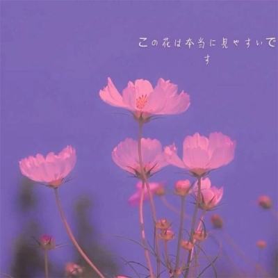 熊猫娱乐app手机app下载